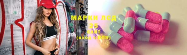 spice Новодвинск