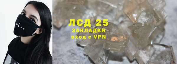 spice Новодвинск