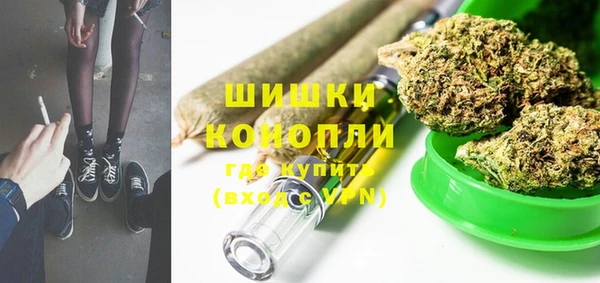 spice Новодвинск