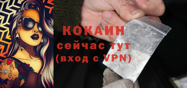 гашик Валдай