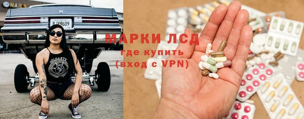 spice Новодвинск