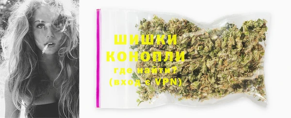 прущий лед Болотное